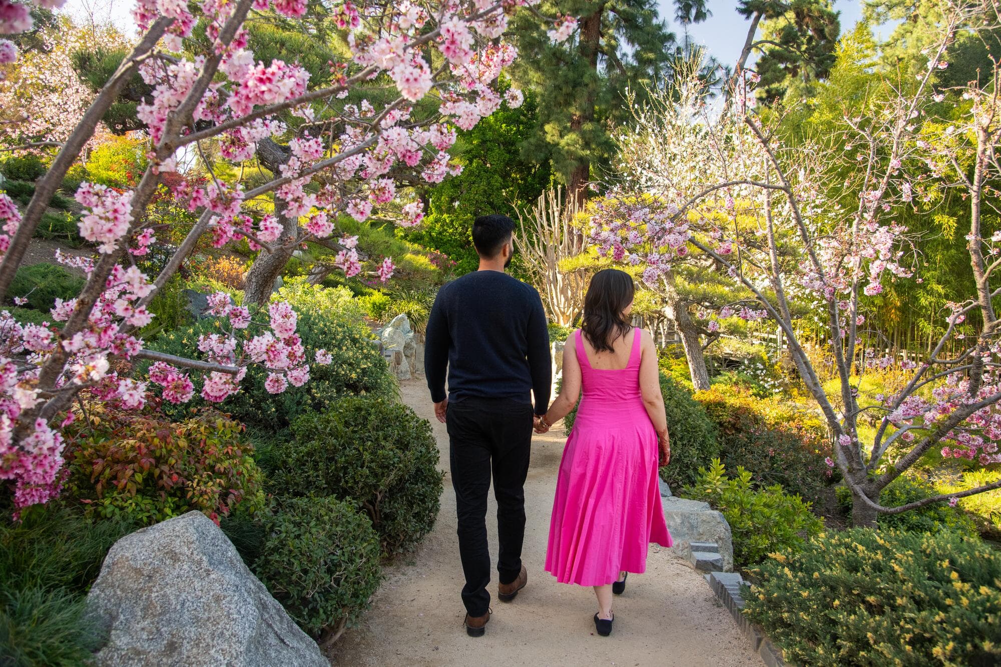 A couple holding hands walks a path through a garden. Her pink dress complements a nearby flowering fruit tree.