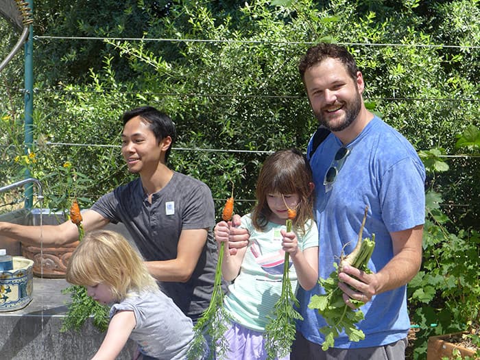 Family picking carrots at the ranch