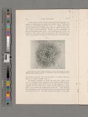 Go to image 66.