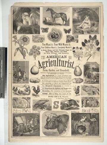 You want it; your wife wants it; your children want it; everybody wants it