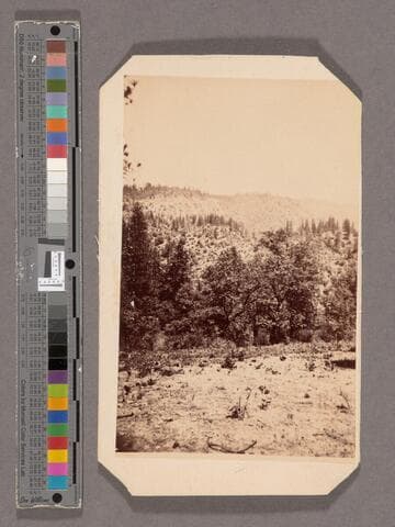 Canyon of Amer. River from West -- Cape Horn and RR on left