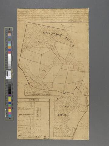 Plan by George Washington of part of Mount Vernon lands