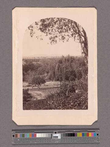 View from Lake Vineyard, B. D. Wilson's, San Gabriel