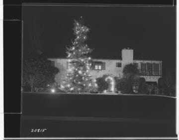 L1.1 - Lighting, misc. - Christmas lighting