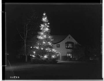 L1.1 - Lighting, misc. - Christmas lighting