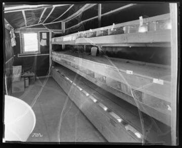 P2 - Poultry - Wild Game Hatchery