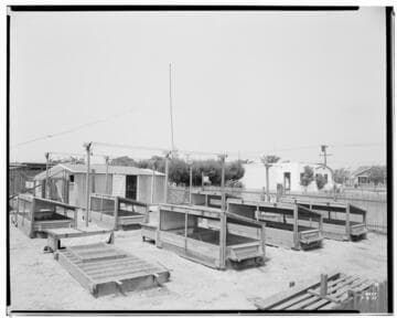 P2 - Poultry - Poultry ranch