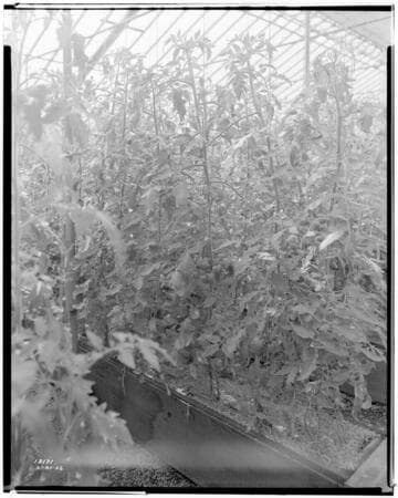 N1 - Nurseries & Soil Heating