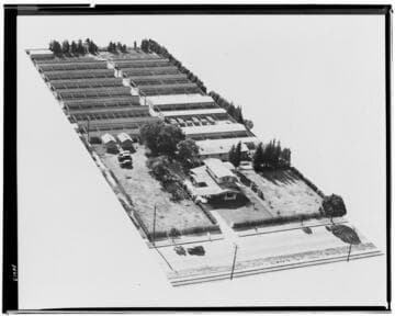 P2 - Poultry - Poultry Ranch aerial view