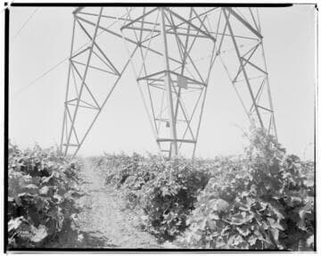 Vincent Transmission Line