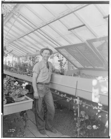 N1 - Nurseries & Soil Heating - Tyng Nursery