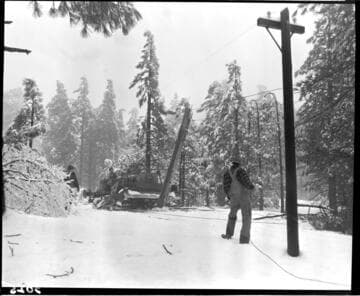 Snow damaged distribution line