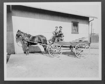 Single-horse wagon at Redlands E.D.S