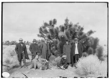 P1.1 - Group Portraits