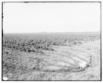 Method of Irrigation