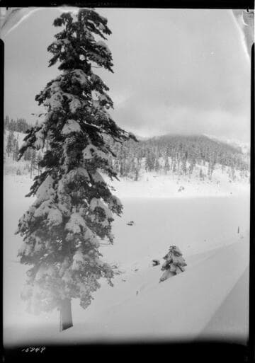 Big Creek after snow storm