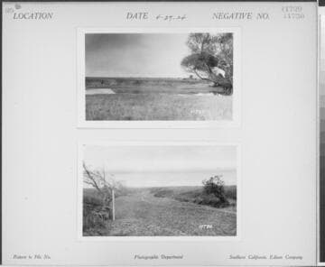 Big Creek, Herminghaus Ranch - "F" gage rim marked - called "Four Trees Slough"