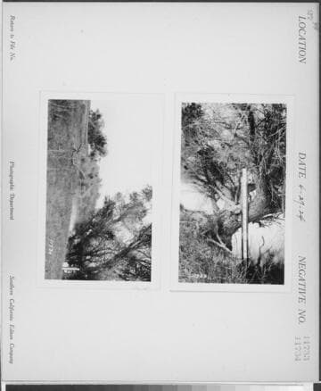 Big Creek, Herminghaus Ranch - Gage 8