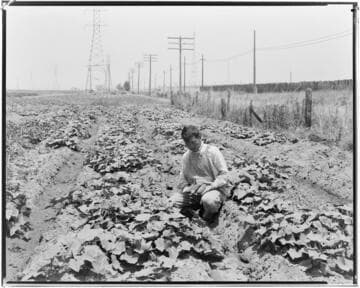 N1 - Nurseries & Soil Heating - Heating soil