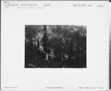 Big Creek, Huntington-Pitman-Shaver Diversion