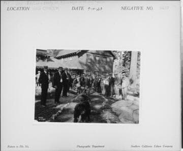 P1.1 - Group Portraits