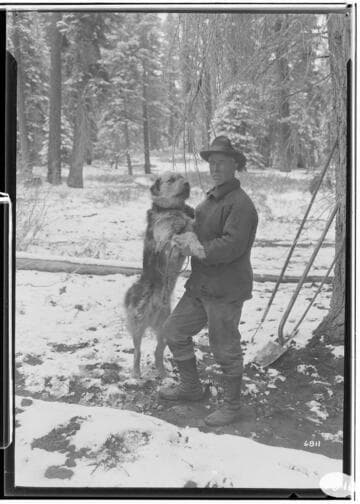 P1.2 - Portraits, misc