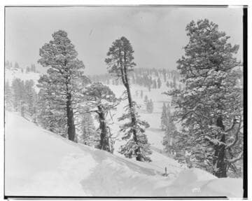 Big Creek Scenery - Snow pictures