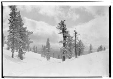 Big Creek Scenery - Snow pictures