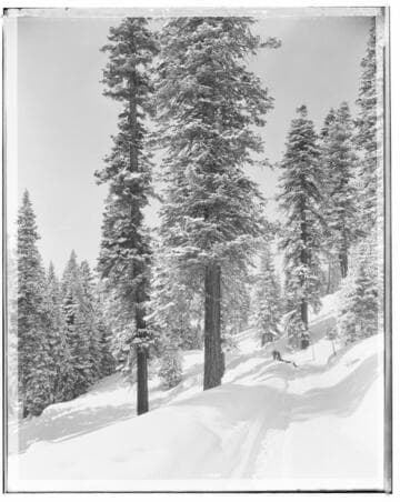 Big Creek Scenery - Snow pictures