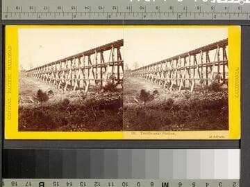 19. Trestle near Station, at Auburn
