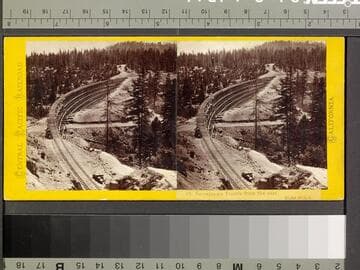 49. Secrettown Trestle, from the east