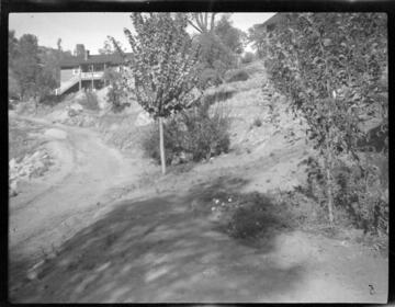 Cabins in oak woodland