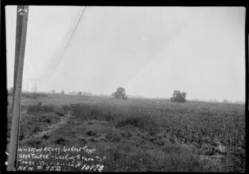 Big Creek Transmission Line