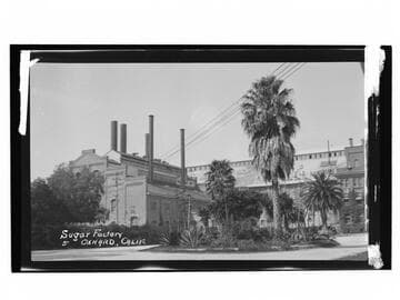 Sugar Factory, Oxnard, Calif