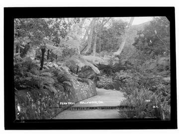 Fern Dell, Hollywood, Cal