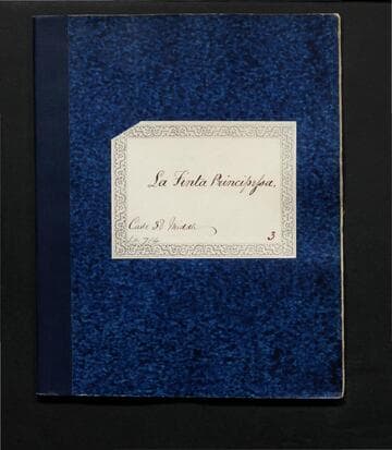 La Finta Principessa