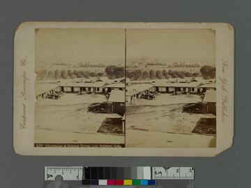 Chinatown & Orange Grove, Los Angeles, Cal