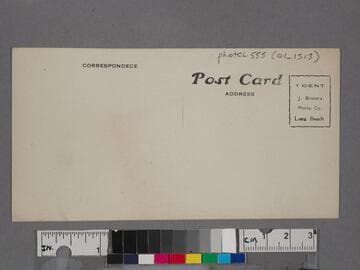 Looking S. from Palisades, Santa Monica, Cal