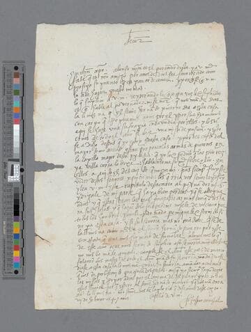 Gaspar Carvajal letter to Pedro Guillén