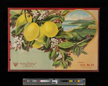 Stock label: lemons with vignette of seaside orchards