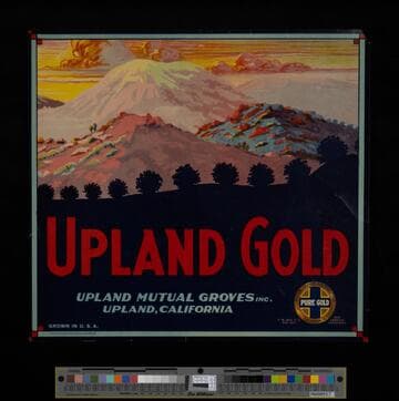 Upland Gold