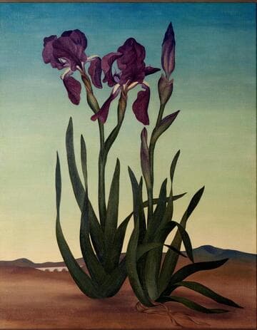 Irises, (The Sentinels)