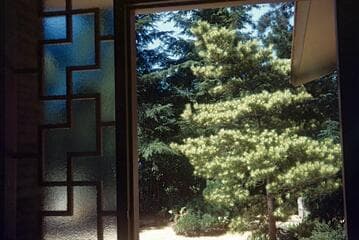 Go to image 11.