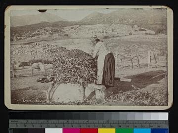 Indian acorn granary, San Diego County, California