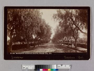 Marengo Avenue South from Col. St