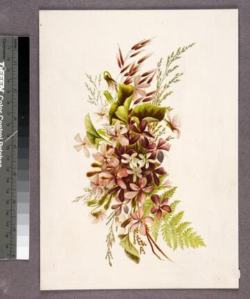 [Purple and white flowers]