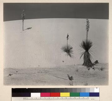 White Sands, New Mexico