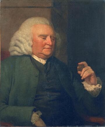 Unknown Man, called Samuel Johnson