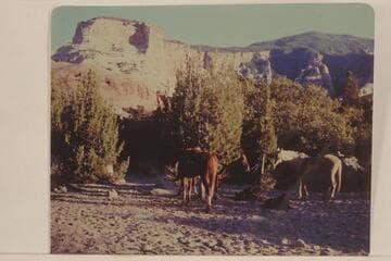 Navajo Mountain from Surprise Valley