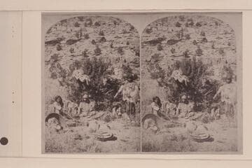 [print from a stereo] Kai Vav Its.  A Bush for a Home